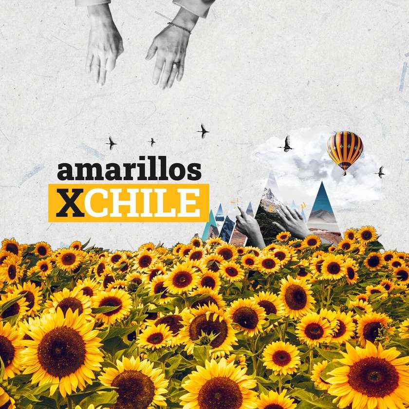Declaración de Principios del Partido «Movimiento Amarillos por Chile»